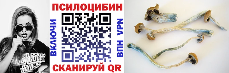 ОМГ ОМГ ссылка  цены   Рассказово  Галлюциногенные грибы Psilocybe 