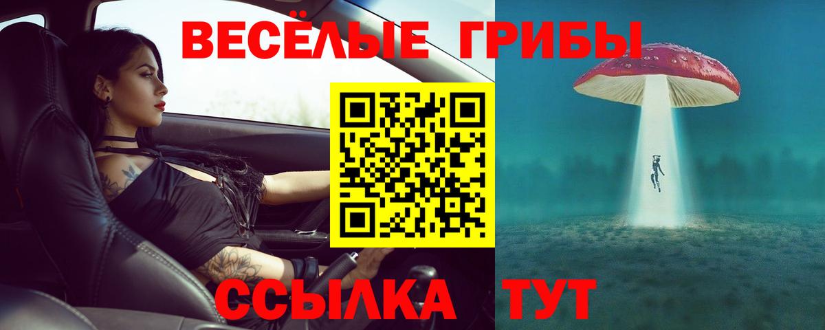 Рассказово  Псилоцибиновые грибы прущие грибы  Вход с VPN 